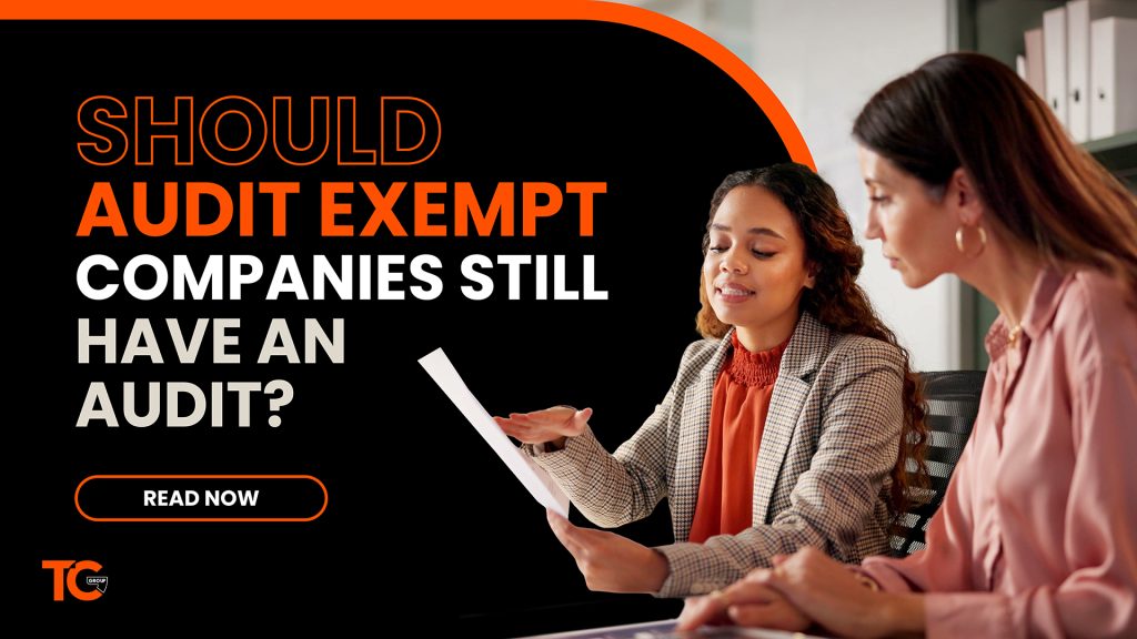 Should audit-exempt companies still have an audit?